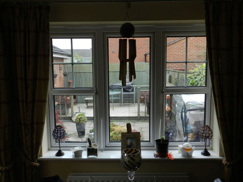 home window tinting bucks